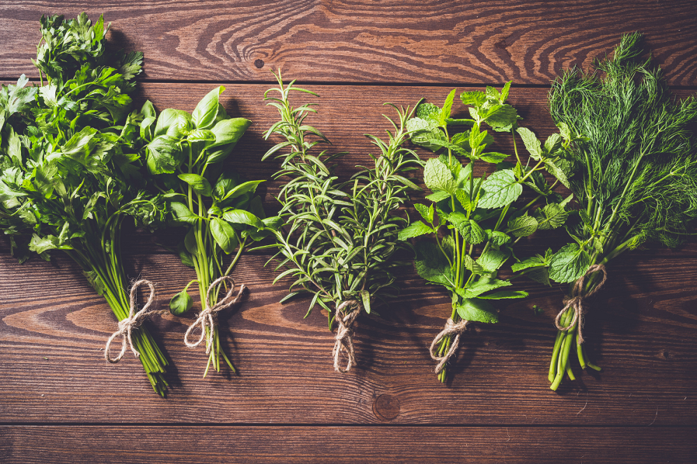 Healing power of herbs