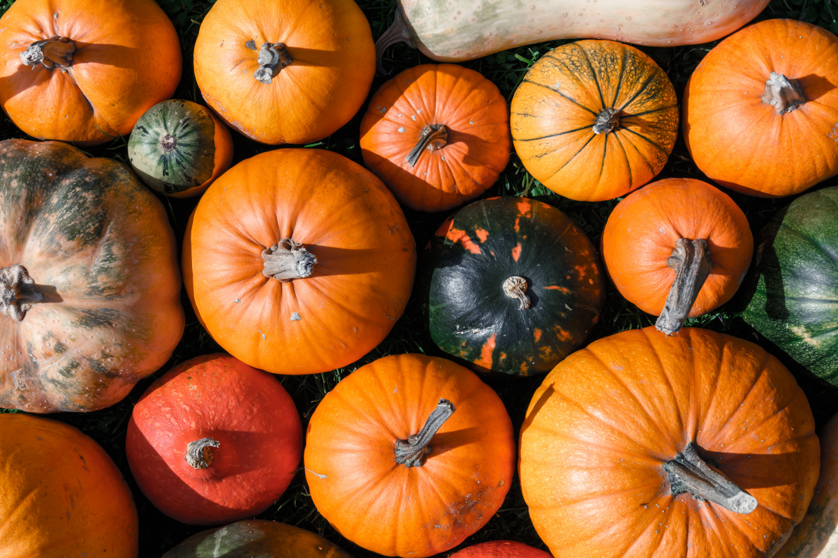 healthy pumpkin